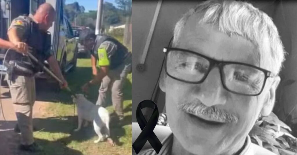 Ataque fatal de pitbulls em Minas do Leão (RS) reacende debate sobre responsabilidade e segurança