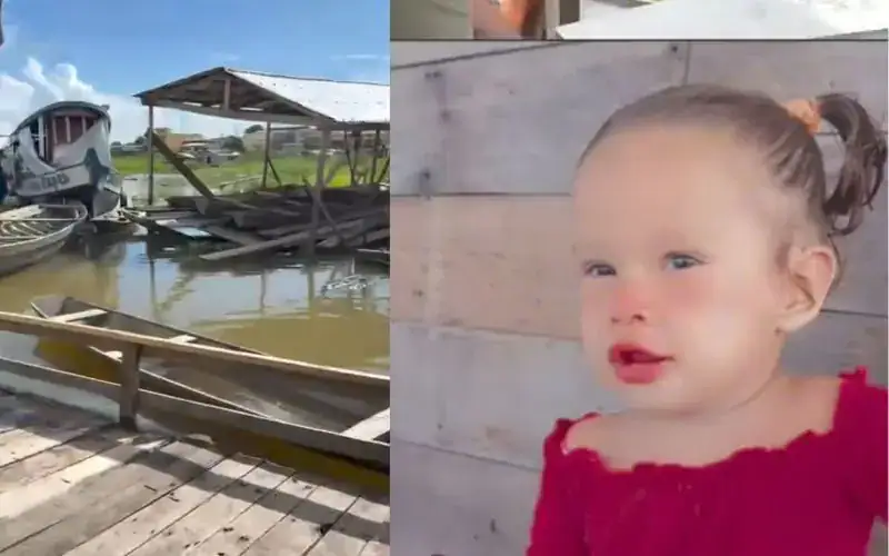 Menina de 2 anos morre após ataque de piranhas em rio de Coari (AM)