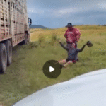 Tragédia em Barro Branco: caminhoneiro atropela esposa em manobra de carreta