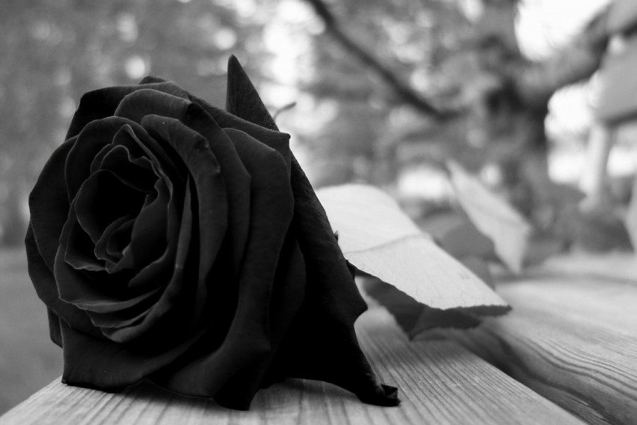 Homenagem a Yan Prates: jovem de 25 anos morto em ataque no Capão Redondo gera comoção