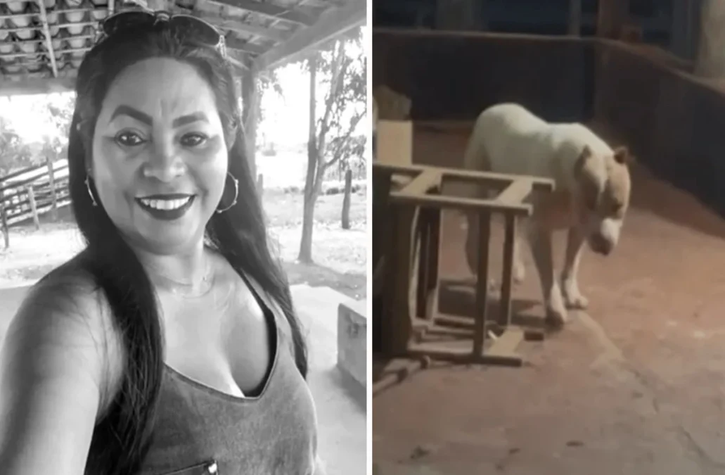 Tragédia em Bacabal: ataque de pitbull tira a vida de mulher e choca comunidade